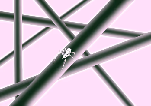 CryptoSpider #7