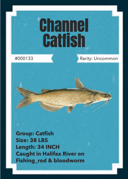 Item #43502264269384842523243150070095810631836830099831581701628992004337990369281 Media