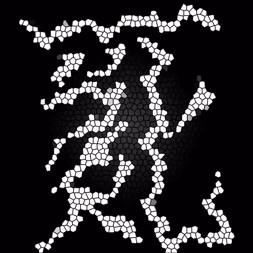 Item #112692583315393289640399895976932165051479569016209638740688331020035654942721 Media