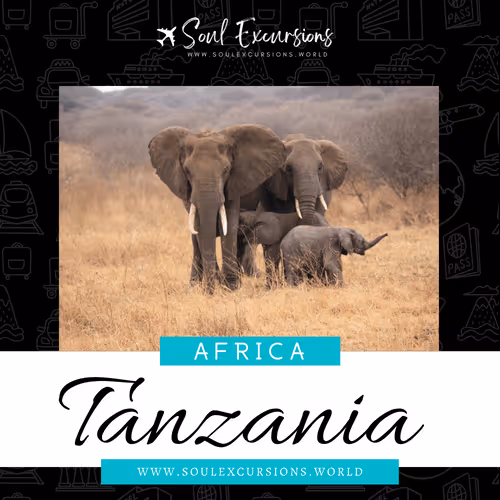 Item #66062759259298317495242665808143605487960305521075017354073139576822873194497 Media