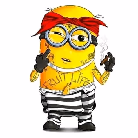 Item #48209045355319868405836092168484765281709319849119531571533318834474369155073 Media