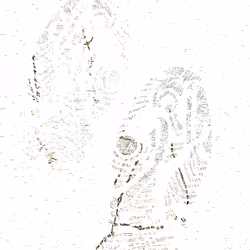 FootMap Glitch #1