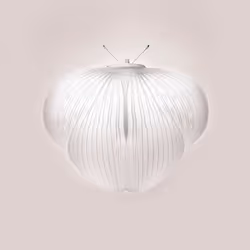 20465790016461110886815958048971507208127989147374131522327960753690552303617