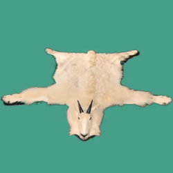 Goat Skin Rug #1