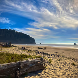 Coastal Beauty
