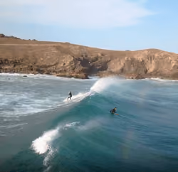 surf paradise 