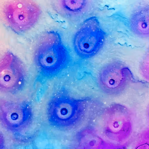 Item #54580750399972977561693001948762990704256824762799748175109014444703131631666 Media