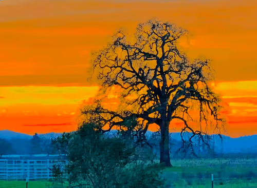 Untitled Collection #148803377