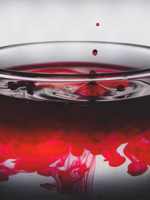 Item #39391070493116977564899321791408150162796374052111424108014134450234662584321 Media