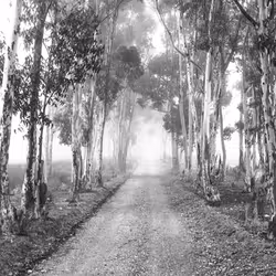 92453260968842960055191976889840526664419783576829596708965298271400702771201