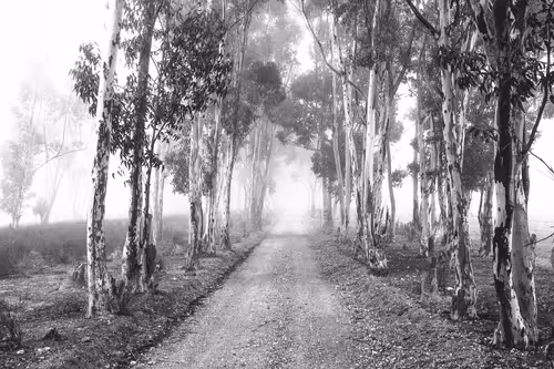 Item #92453260968842960055191976889840526664419783576829596708965298271400702771201 Media