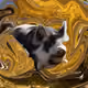 53180631642456764738139299674940583640479914081960747744151193571685889474561