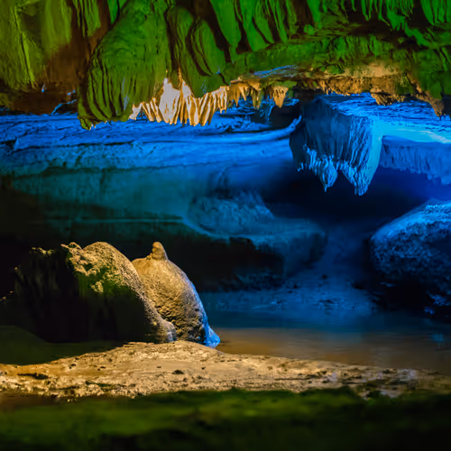 Item #80488266671287018131558448213082272878703229800970441297784273633486024212481 Media