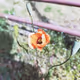 83200379822862997669890217079932147538803640015400965627778937138571896684644