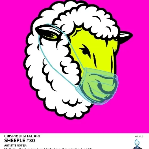 Item #87415360235446664004770043537842400761718434103181100029078096204390262112257 Media