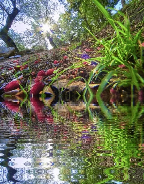 Item #33273431064062745158281459223994481396408298461003960329838769753604671668229 Media