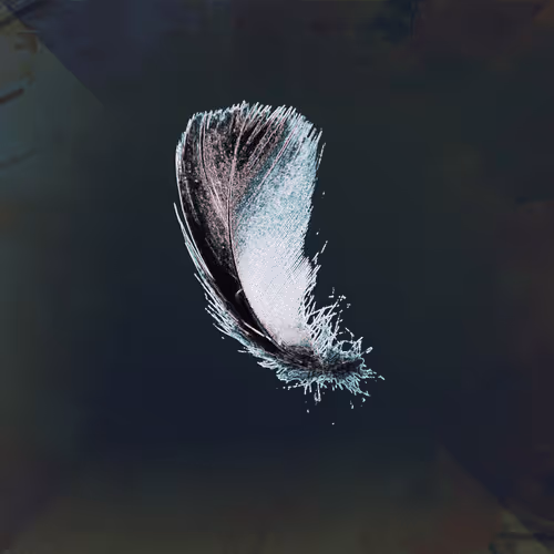 Item #72932321608233697749117711298000337470595698923978217717692158362704687398913 Media