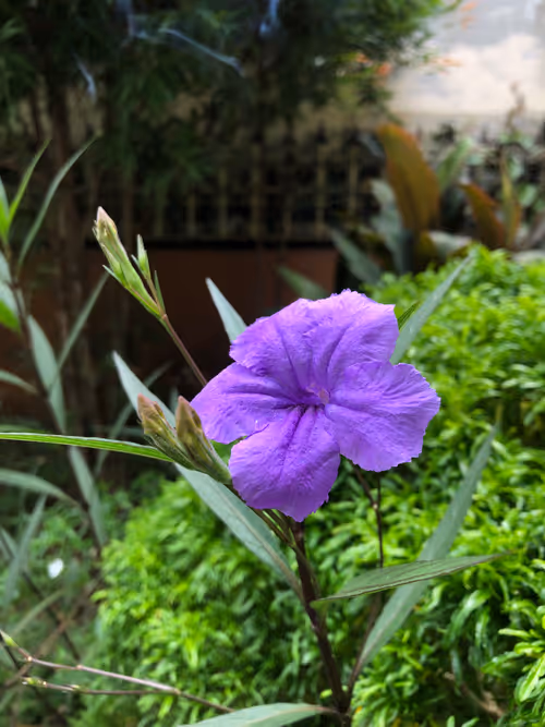 Item #72884455907408710454109715680509394879099960801166556452598319993341018636289 Media