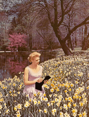 Item #61008415677425161775769037889841641942964792119876980335460082752642172846081 Media