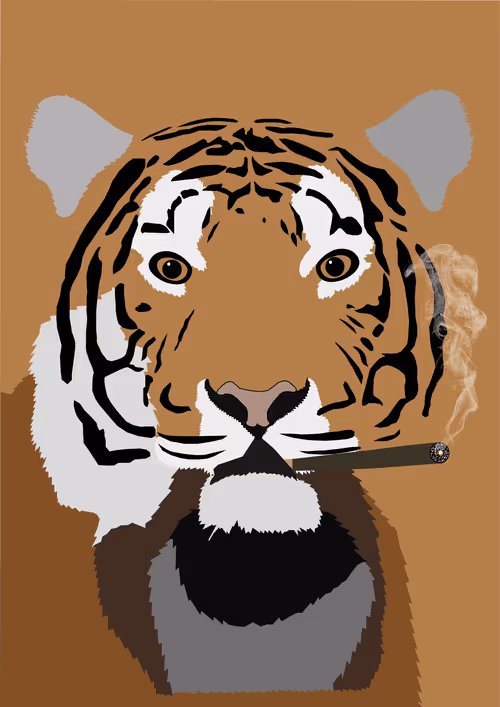 Item #46679994496108624530020148644785155104419172278486625888968680975117070630913 Media