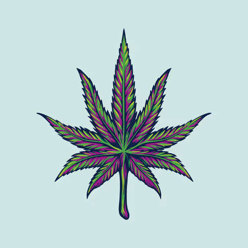 Crypto Nugzz