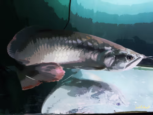 Item #74464285102539120175525880978246253166996374944805974491567127457922704998401 Media