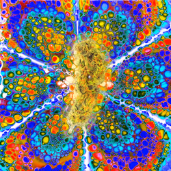 13955282856406335165414100891374623718709547313428947888299034000037276286981