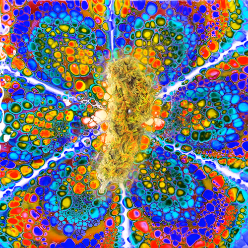 Item #13955282856406335165414100891374623718709547313428947888299034000037276286981 Media