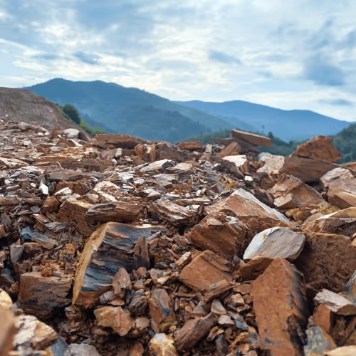 Item #32708508987210996203505439108186848896243903998336501445034175518922510434305 Media