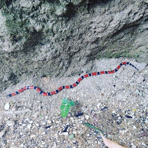 Item #39083204805328424226701303183852423297820358451573401344036649744173325352961 Media