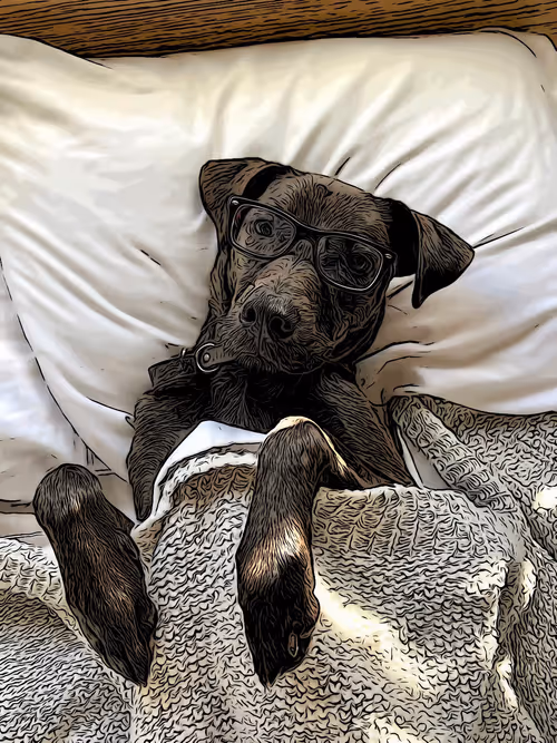 Item #51248183749348236146371365488248401109026090195749860833283607888085271969793 Media