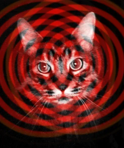 Item #46677297122039031221449977847173365421667821442589389250428357135106899443713 Media