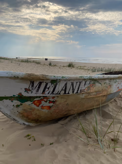 Item #29402876086260555161953013562813586269732645372451824367368478762629932777477 Media