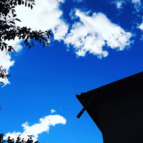Untitled Collection #63786263
