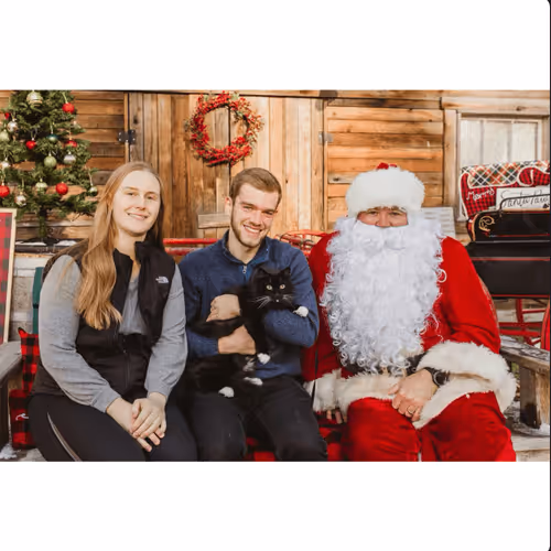 Untitled Collection #506976200