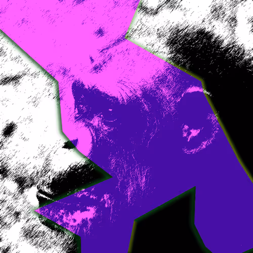 Item #60839276870702459536115980663435026977207856631347422568339333174605174013953 Media