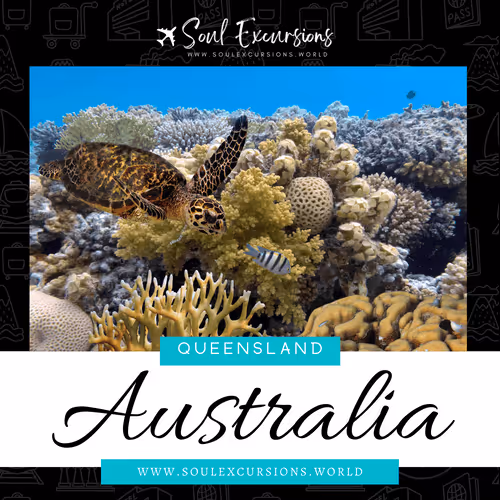 Item #66062759259298317495242665808143605487960305521075017354073139627400408072193 Media