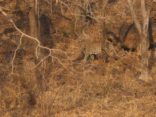 Item #97836812780509992357294122523585033403069799533494245490683884912540016181249 Media