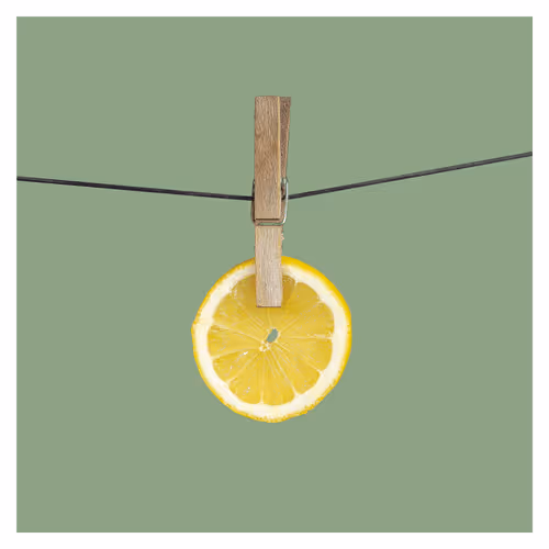 Item #42948586841452145743062165540431714501245146822176452144781213437746233737221 Media