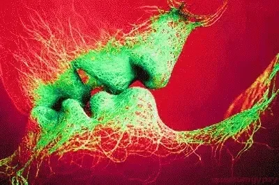 Item #98366626593775320255821795584346817083422139811725773421478484664430935146497 Media