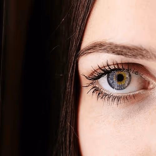 Item #80261072711668544625956097503537230290104214068874563233857599385427465207818 Media