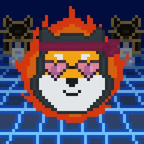 Rocketshiba