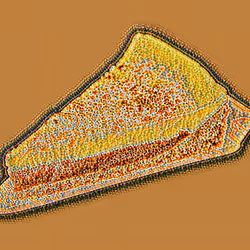 103021099077614825187577421930856695141498909813172536276445923565431152443393