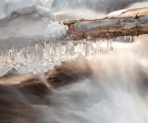 Motion Frozen 4