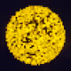 109465923035680512136283285722478726699648901101494319135368784606165024636929