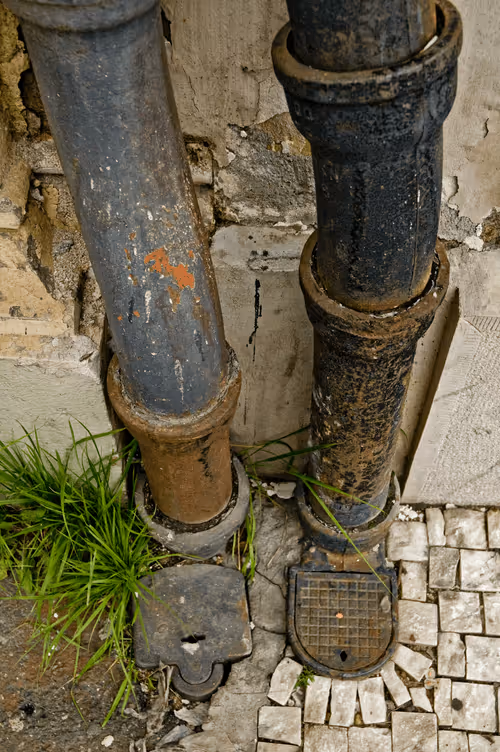 Item #72771752724512834897841148734331697196499953349916527017693403097078645653604 Media