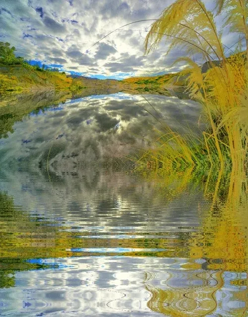 Item #33273431064062745158281459223994481396408298461003960329838769747007601901573 Media