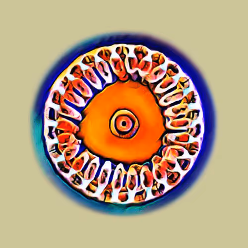 Item #76890309982572414559524539652653274915372995696638965878349557282439918780417 Media