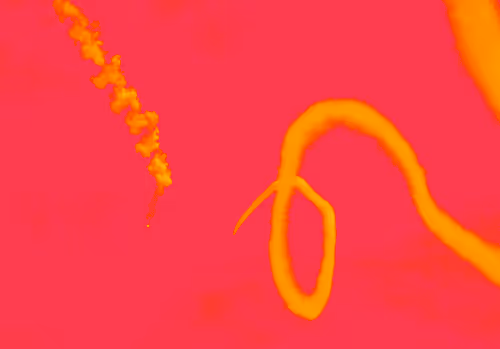 Item #40924867704625931810810432918766781072375131540904661553211691940457851387905 Media