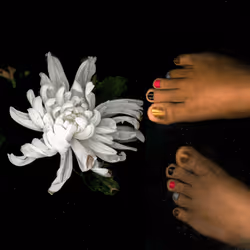 109162157552346088047496633038404394118504199992061596446112929361038594277377